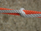 Half hitch